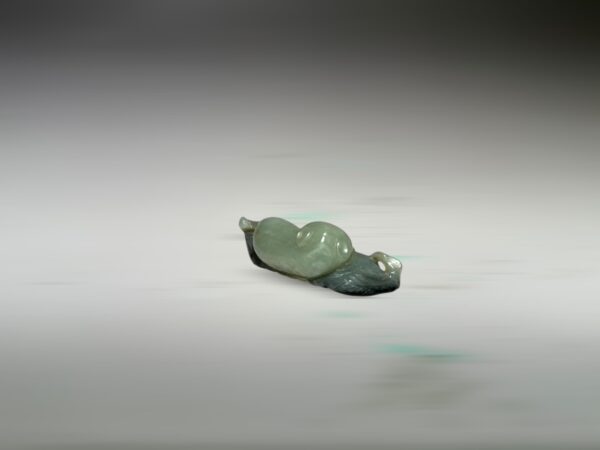 S__2785558_0