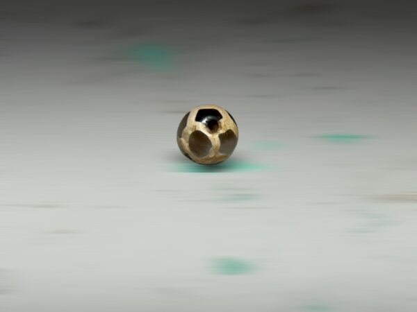 S__2826300_0