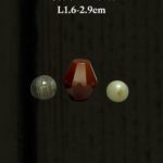 S__2834449_0