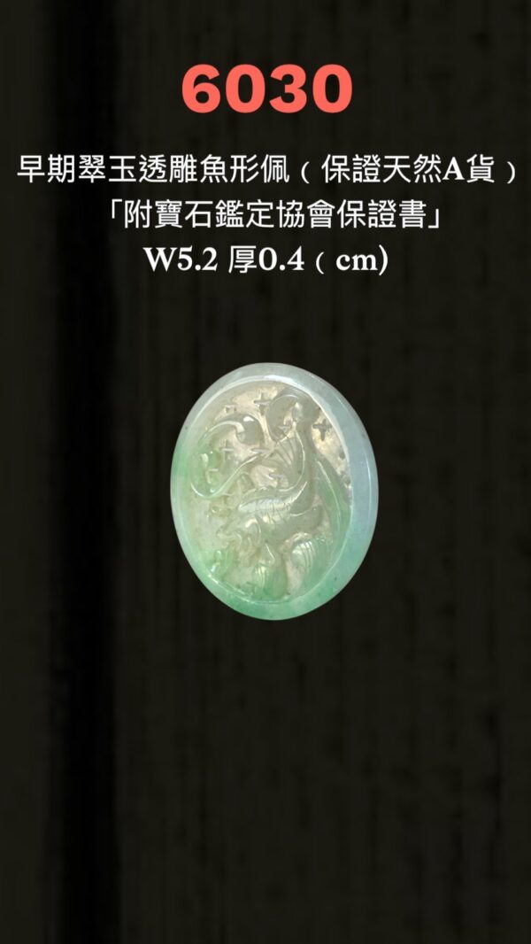 LINE_ALBUM_6月拍_250620_45