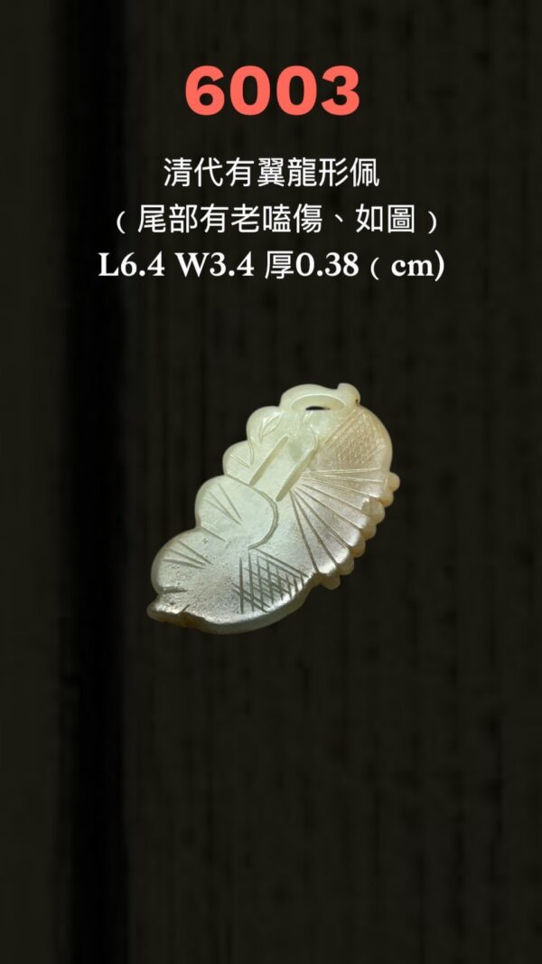 LINE_ALBUM_6月拍_250620_72