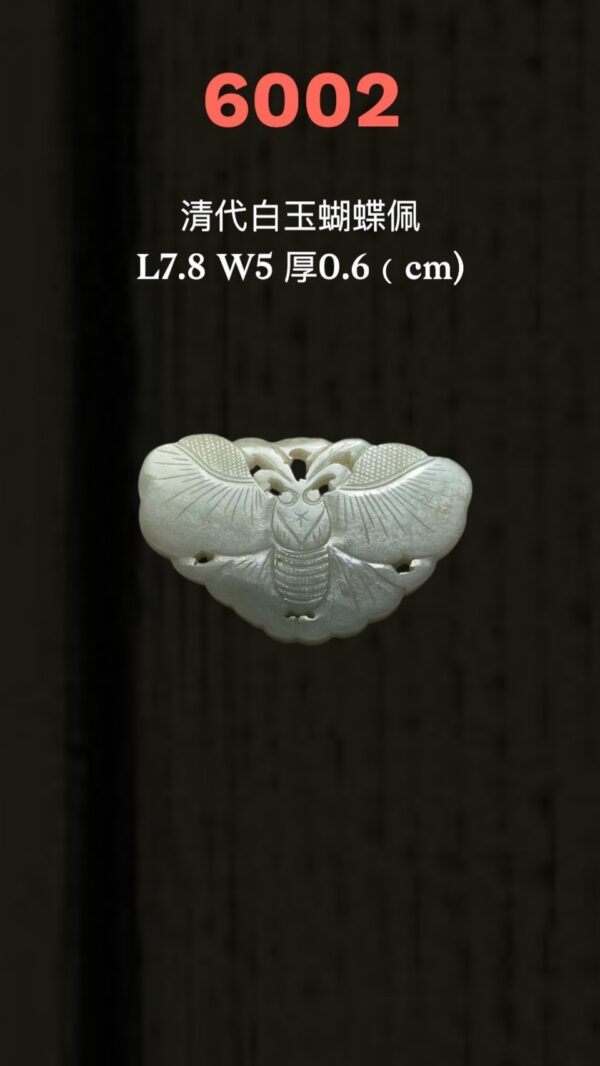 LINE_ALBUM_6月拍_250620_73