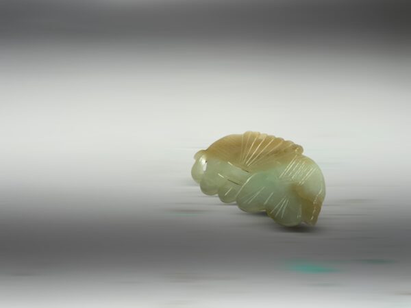 S__2965522_0