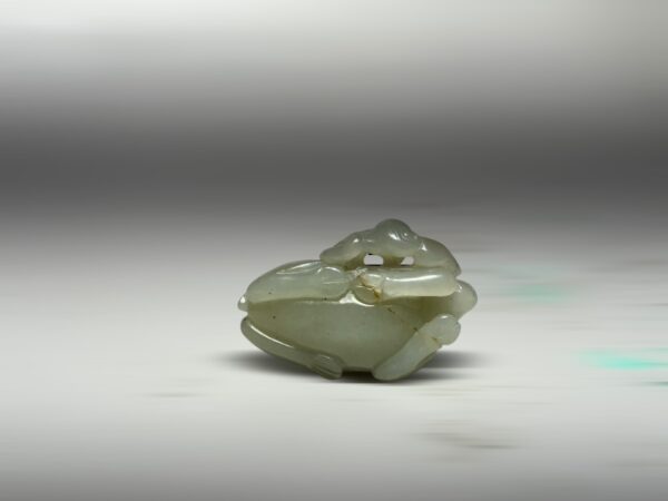 S__2965538_0