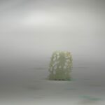 S__2965576_0