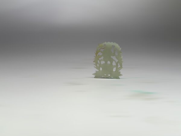 S__2965577_0