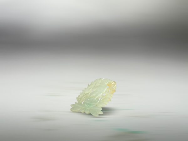 S__2965578_0