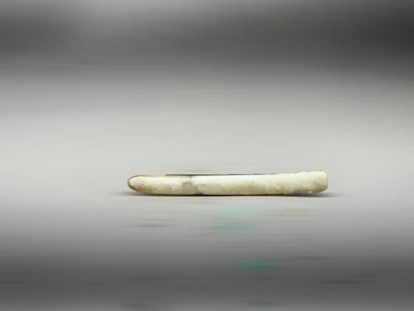 S__2965592_0
