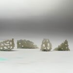 S__2965666_0