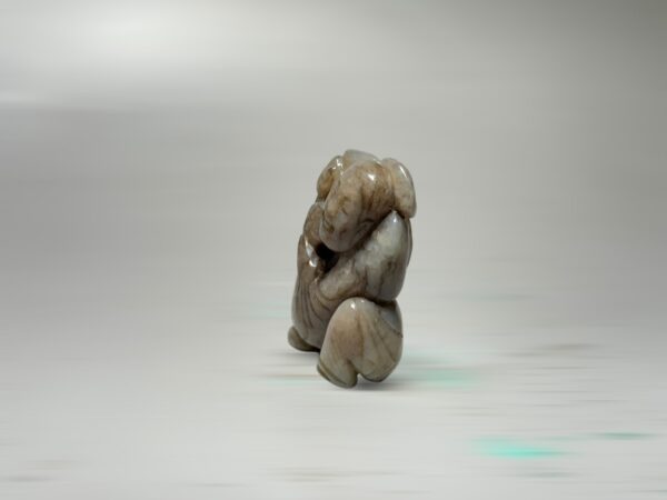 S__2965686_0