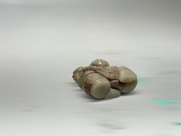S__2965688_0