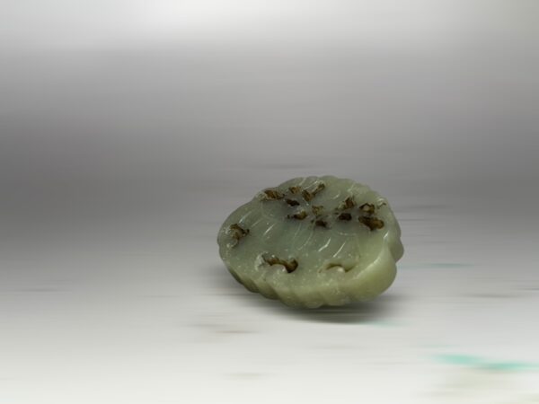S__2965713_0