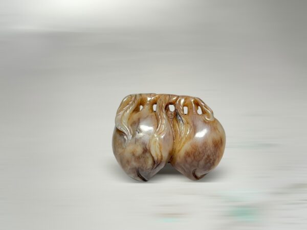 S__2965726_0