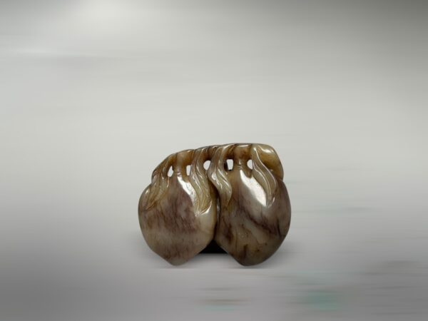 S__2965727_0