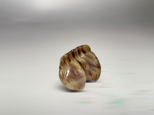 S__2965728_0
