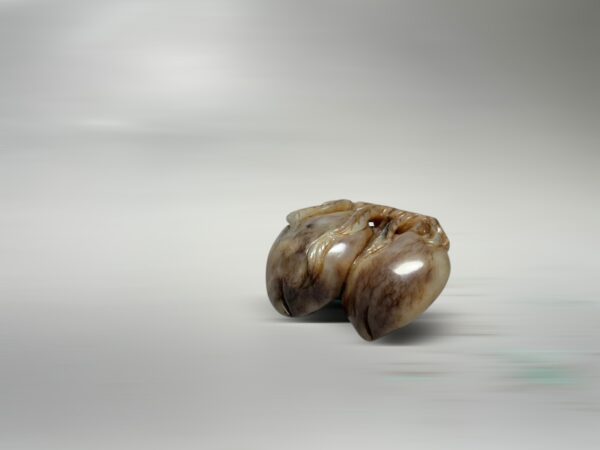 S__2965729_0