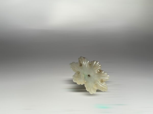 S__2965734_0
