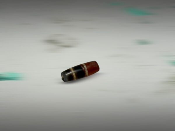 S__2965810_0
