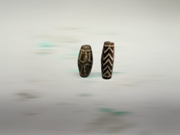 S__2965819_0