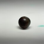 S__2965825_0