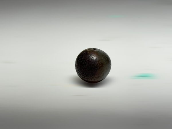 S__2965825_0