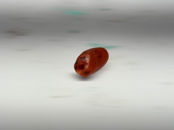 S__2965833_0