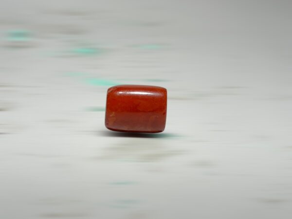 S__2973700_0