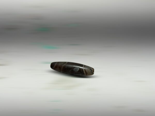 S__2973709_0