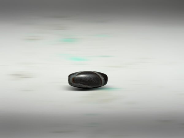S__2973710_0