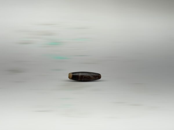 S__2973711_0