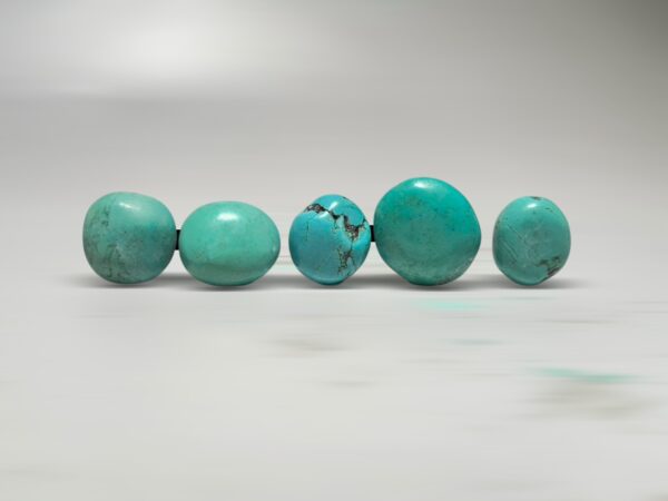 S__2973730_0