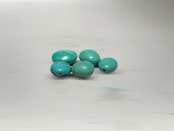 S__2973731_0