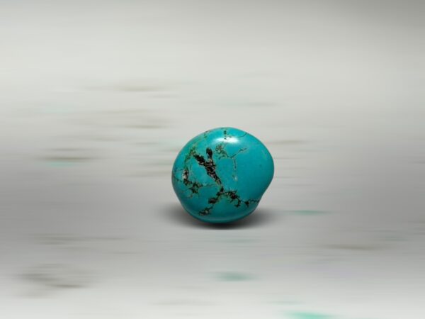 S__2973733_0