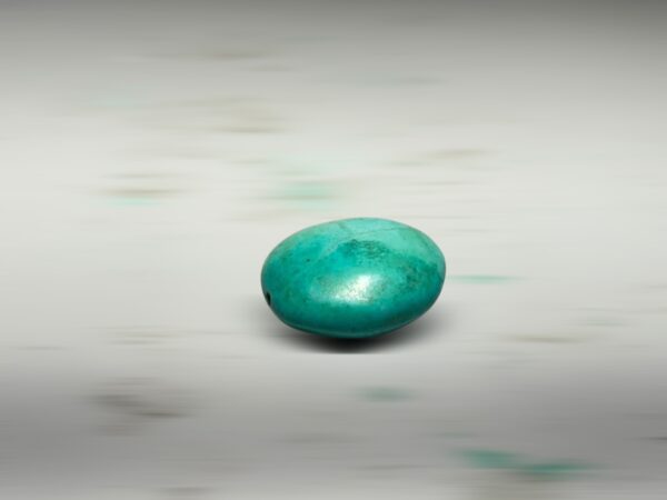S__2973734_0