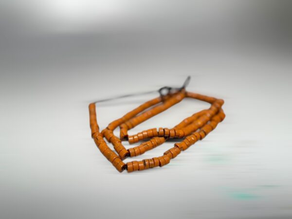 S__2973768_0