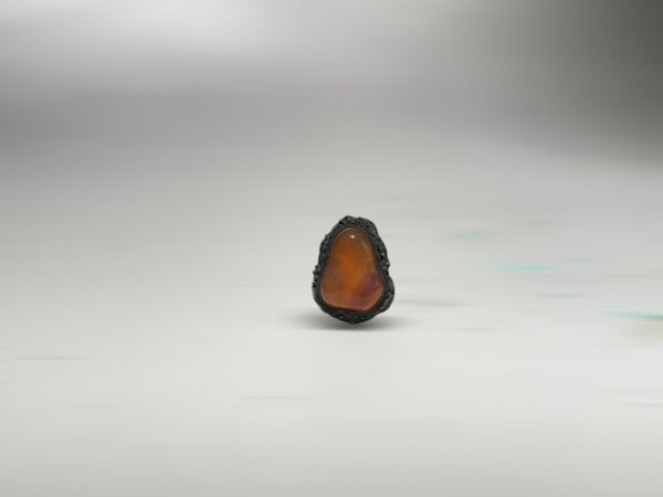 S__2973775_0