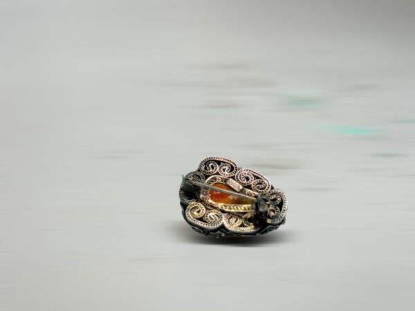 S__2973776_0