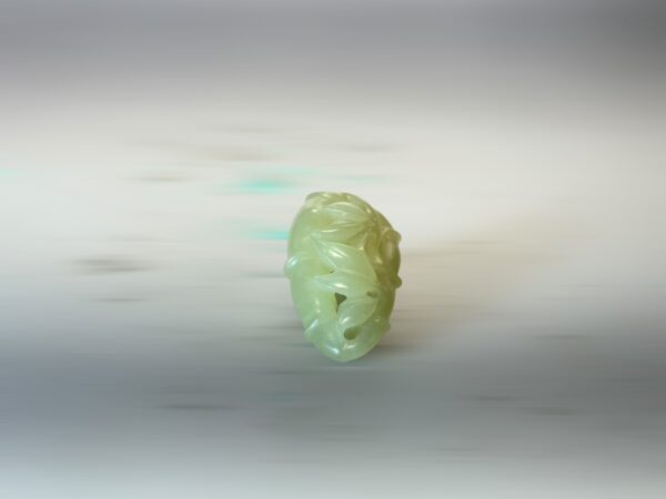 S__3096687_0