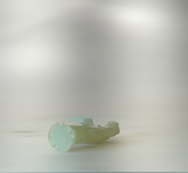 S__3104775_0