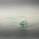 S__3104830_0