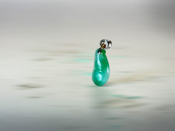 S__3104864_0