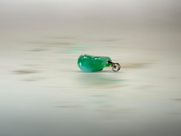 S__3104866_0