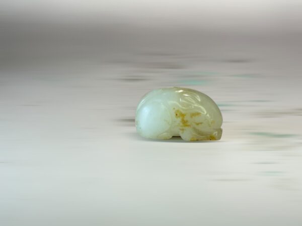 S__3260434_0