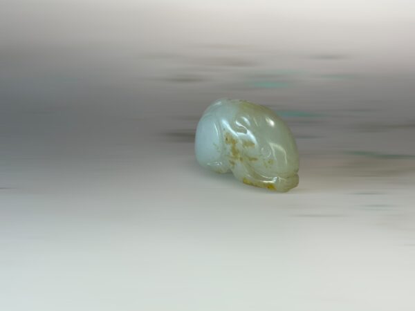 S__3260435_0