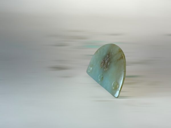 S__3260442_0