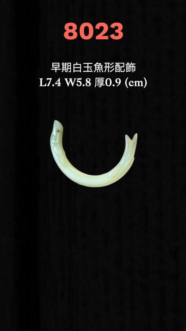 S__3260564
