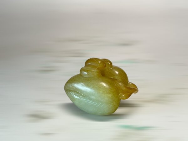 S__3260578_0
