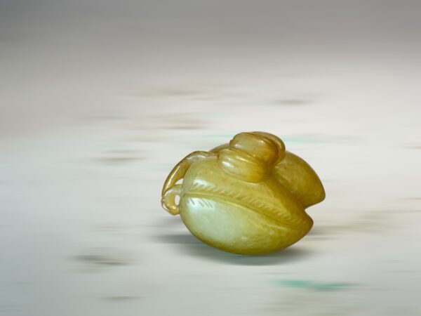 S__3260579_0