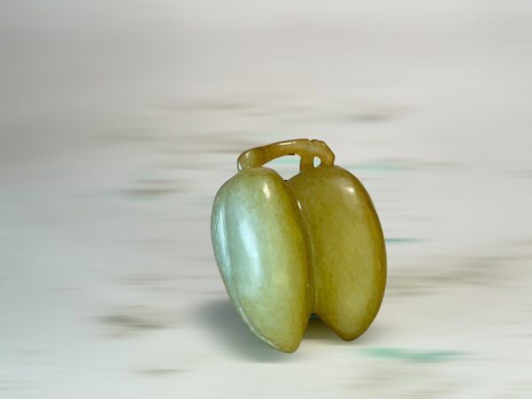 S__3260580_0