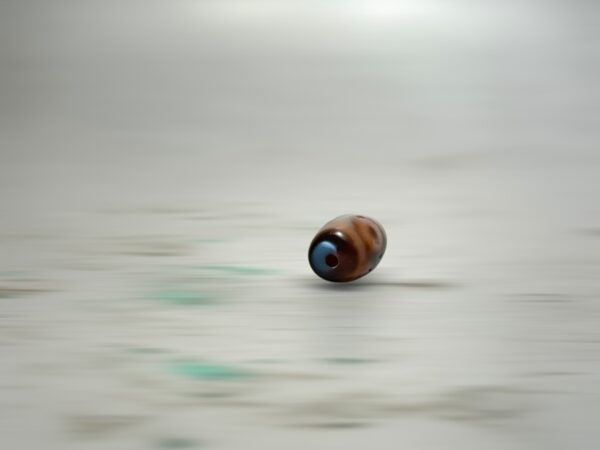 S__3260642_0